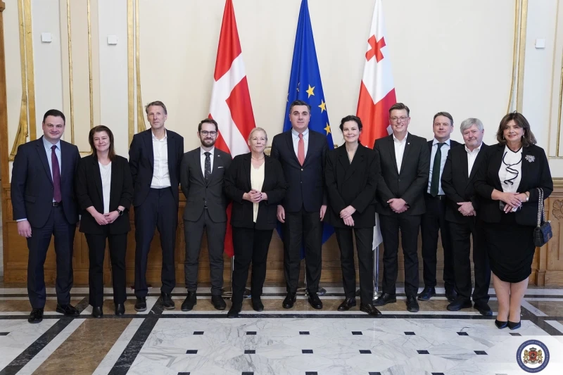 საგარეო საქმეთა მინისტრი დანიელ პარლამენტარებს შეხვდა