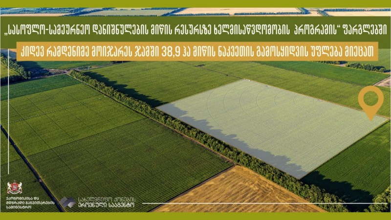 რომელ რეგიონებში გამოისყიდეს მოიჯარეებმა ₾634 828 ღირებულების სასოფლო-სამეურნეო მიწა