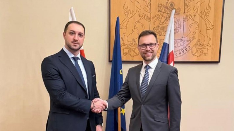 საქართველოსა და სლოვაკეთის ენერგეტიკული სექტორის წარმომადგენლებს შორის შეხვედრა გაიმართა