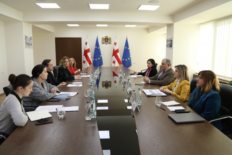 მიხეილ სარჯველაძე ლევან იოსელიანს შეხვდა