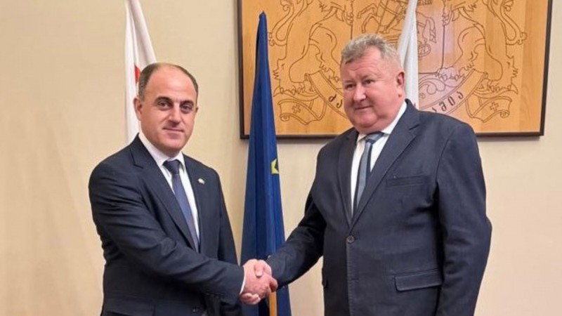 დავით ნარმანია სლოვაკეთის მარეგულირებელი უწყებისა და ეკონომიკის სამინისტროს ხელმძღვანელ პირებს შეხვდა